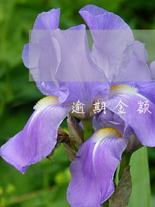 逾期金额分大小吗 逾期金额分大小吗