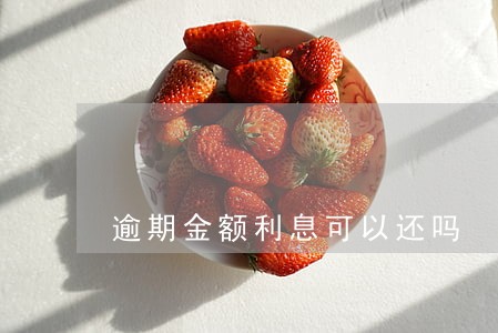 逾期金额利息可以还吗 逾期金额利息可以还吗
