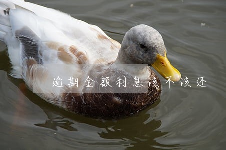 逾期金额利息该不该还 逾期金额利息该不该还