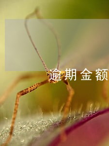 逾期金额包含什么意思 逾期金额包含什么意思