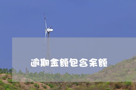 逾期金额包含余额 逾期金额包含余额