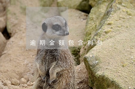 逾期金额包含利息 逾期金额包含利息