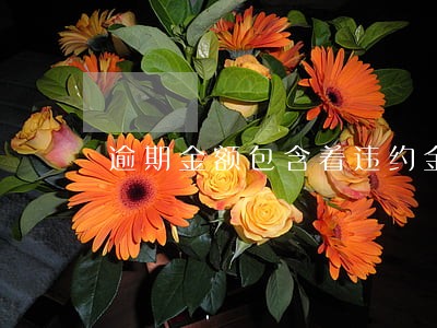 逾期金额包含着违约金吗 逾期金额包含着违约金吗
