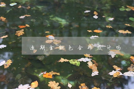 逾期金额包含非应计吗 逾期金额包含非应计吗