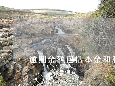 逾期金额包括本金和利息吗 逾期金额包括本金和利息吗