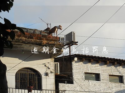 逾期金额包括罚息 逾期金额包括罚息