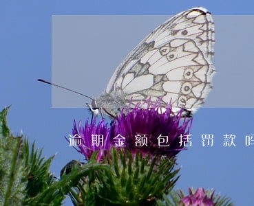 逾期金额包括罚款吗 逾期金额包括罚款吗