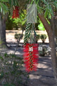 逾期金额包括逾期利息吗 逾期金额包括逾期利息吗
