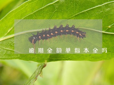 逾期金额单指本金吗