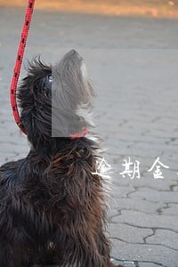 逾期金额可以分期吗 逾期金额可以分期吗