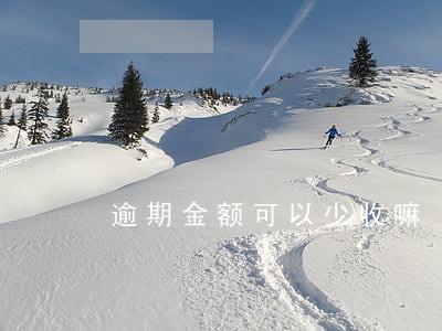 逾期金额可以少收嘛 逾期金额可以少收嘛