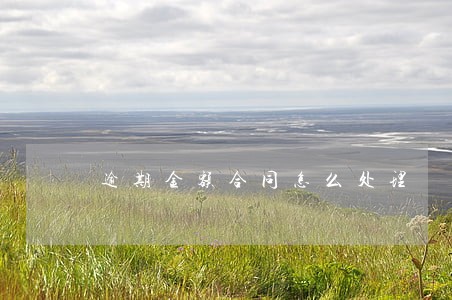 逾期金额合同怎么处理 逾期金额合同怎么处理