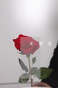 逾期金额含不含利息 逾期金额含不含利息