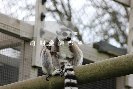 逾期金额告急 逾期金额告急