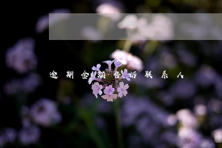 逾期金额告诉联系人 逾期金额告诉联系人