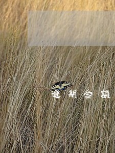 逾期金额咋样计算 逾期金额咋样计算