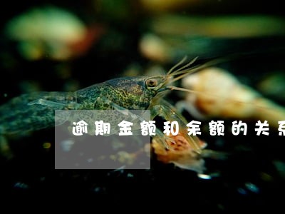 逾期金额和余额的关系 逾期金额和余额的关系