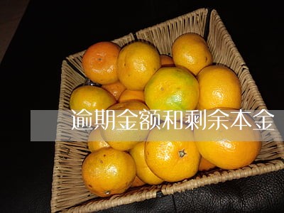 逾期金额和剩余本金 逾期金额和剩余本金