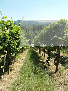 逾期金额和坏账总额相同吗 逾期金额和坏账总额相同吗