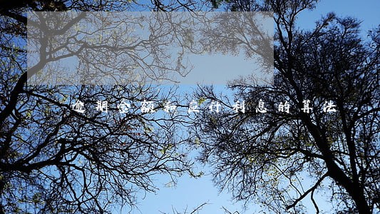 逾期金额和应计利息的算法 逾期金额和应计利息的算法