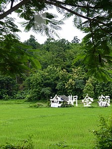 逾期金额和当前利息是什么 逾期金额和当前利息是什么