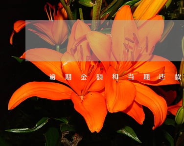逾期金额和当期还款额 逾期金额和当期还款额