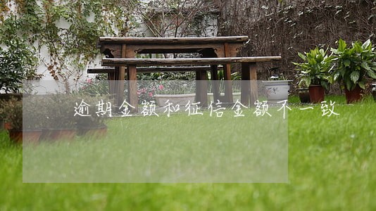 逾期金额和征信金额不一致 逾期金额和征信金额不一致