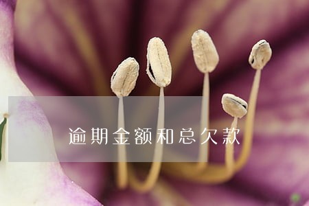 逾期金额和总欠款 逾期金额和总欠款