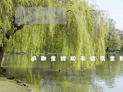 逾期金额和未结清金额是一个吗 逾期金额和未结清金额是一个吗