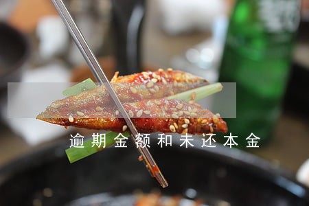 逾期金额和未还本金