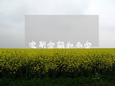 逾期金额和本金