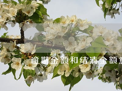 逾期金额和结清金额意思 逾期金额和结清金额意思