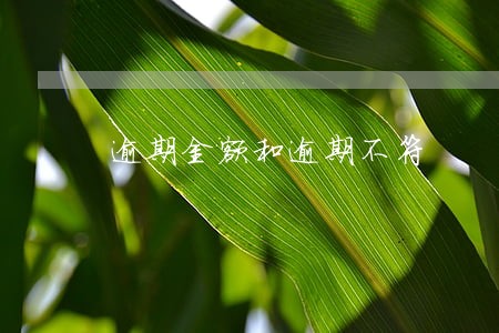 逾期金额和逾期不符 逾期金额和逾期不符