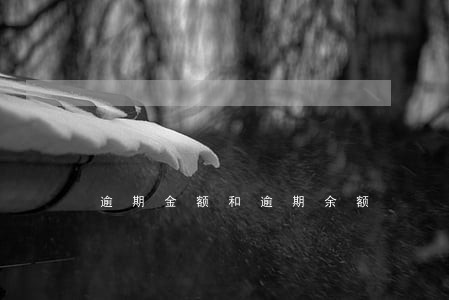 逾期金额和逾期余额 逾期金额和逾期余额