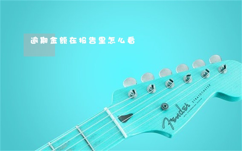 逾期金额在报告里怎么看 逾期金额在报告里怎么看