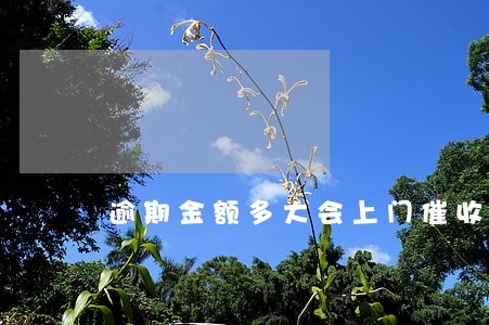 逾期金额多大会上门催收 逾期金额多大会上门催收