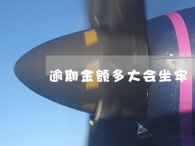 逾期金额多大会坐牢 逾期金额多大会坐牢