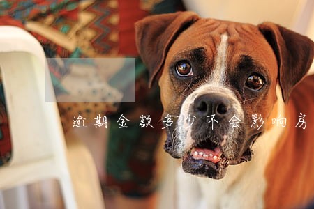 逾期金额多少不会影响房贷 逾期金额多少不会影响房贷