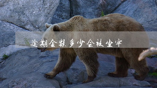 逾期金额多少会被坐牢 逾期金额多少会被坐牢
