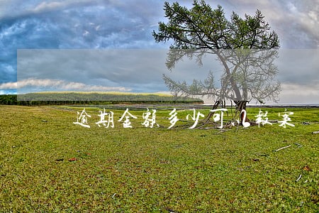 逾期金额多少可以报案 逾期金额多少可以报案