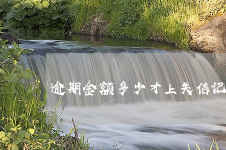 逾期金额多少才上失信记录 逾期金额多少才上失信记录