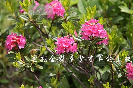 逾期金额多少才算的上较大 逾期金额多少才算的上较大