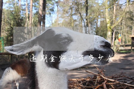 逾期金额大于多少会 逾期金额大于多少会