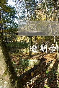 逾期金额大于征信金额 逾期金额大于征信金额