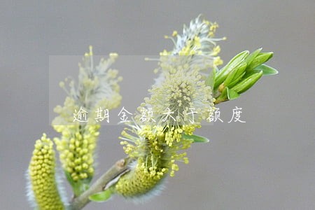 逾期金额大于额度 逾期金额大于额度