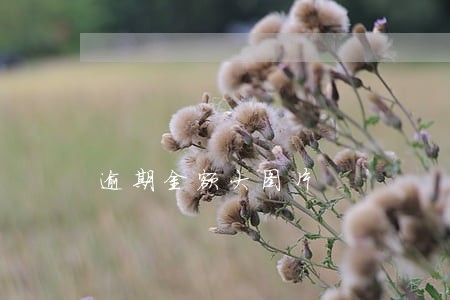 逾期金额大图片 逾期金额大图片