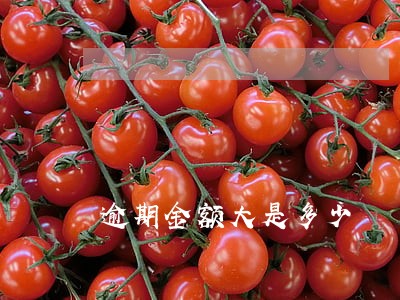逾期金额大是多少