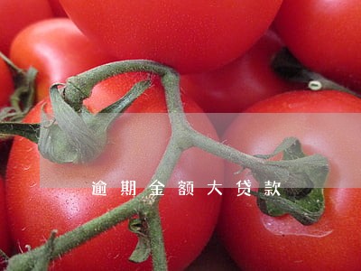 逾期金额大贷款 逾期金额大贷款