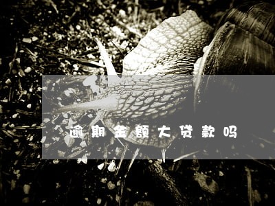 逾期金额大贷款吗 逾期金额大贷款吗