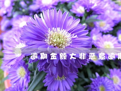 逾期金额大非恶意逾期证明
